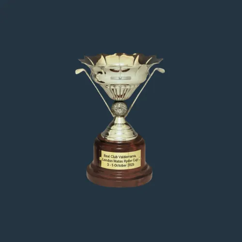 playground winning team trophy with a gold bowl on a wooden base
